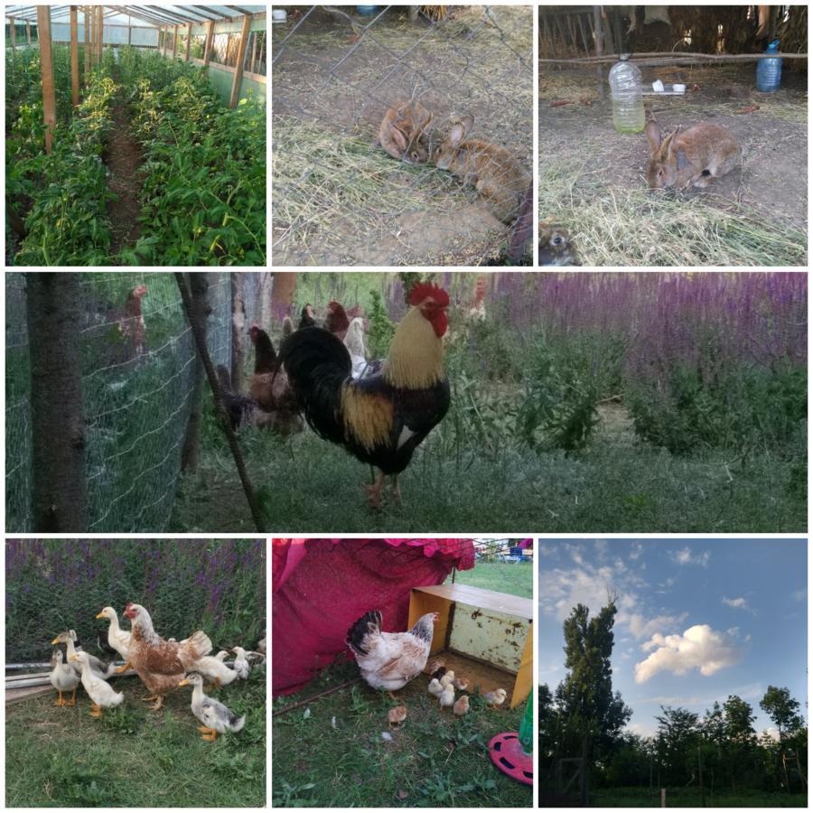 Perla Neagră Lotus Spa Caineni-Bai Bagian luar foto